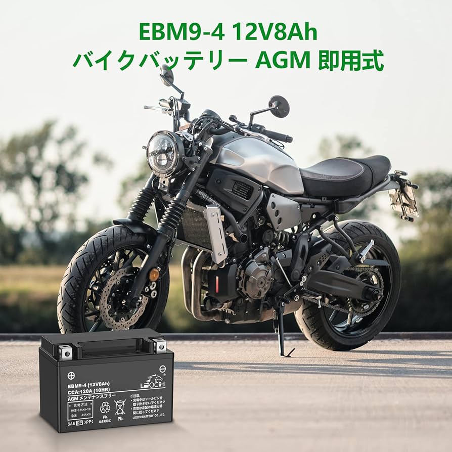 Leo レオ　サイズダンレボリューション　( 充電不要 ) Leo レオサイズダンレボリューション( 充電不要 )